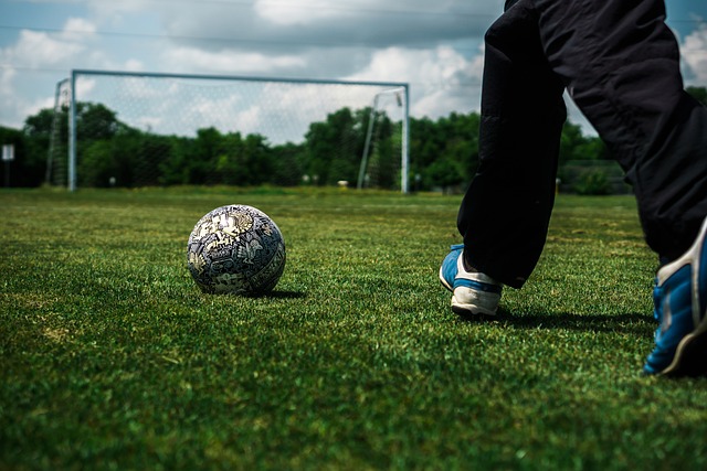 到了中国乒 到了中国乒