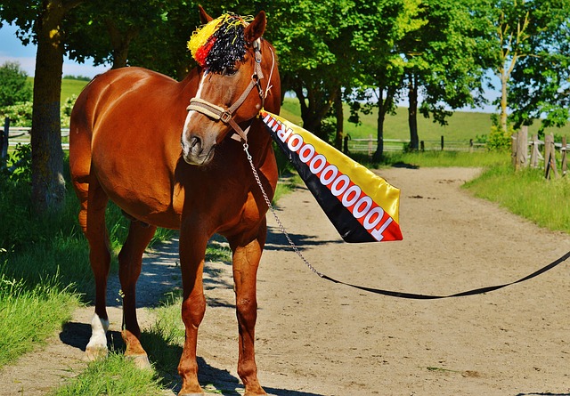 更强大的阵 更强大的阵