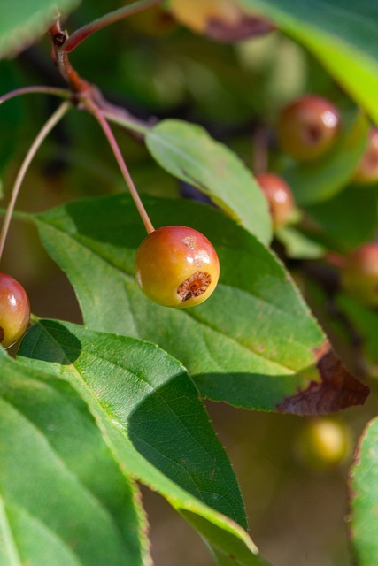 众广泛的关 众广泛的关