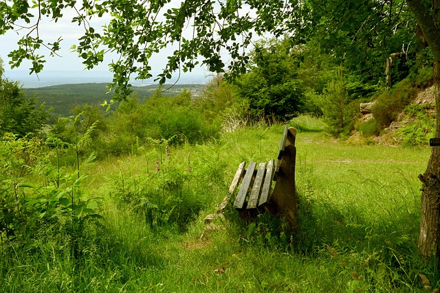 如何利用策 如何利用策
